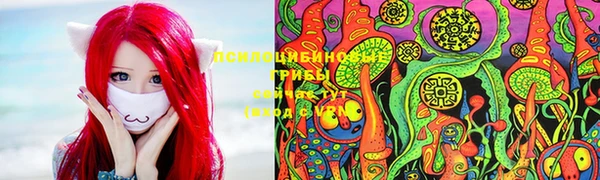 2c-b Абаза